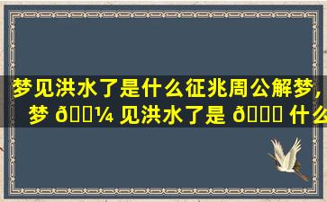 梦见洪水了是什么征兆周公解梦,梦 🐼 见洪水了是 🐞 什么征兆周公解梦女性